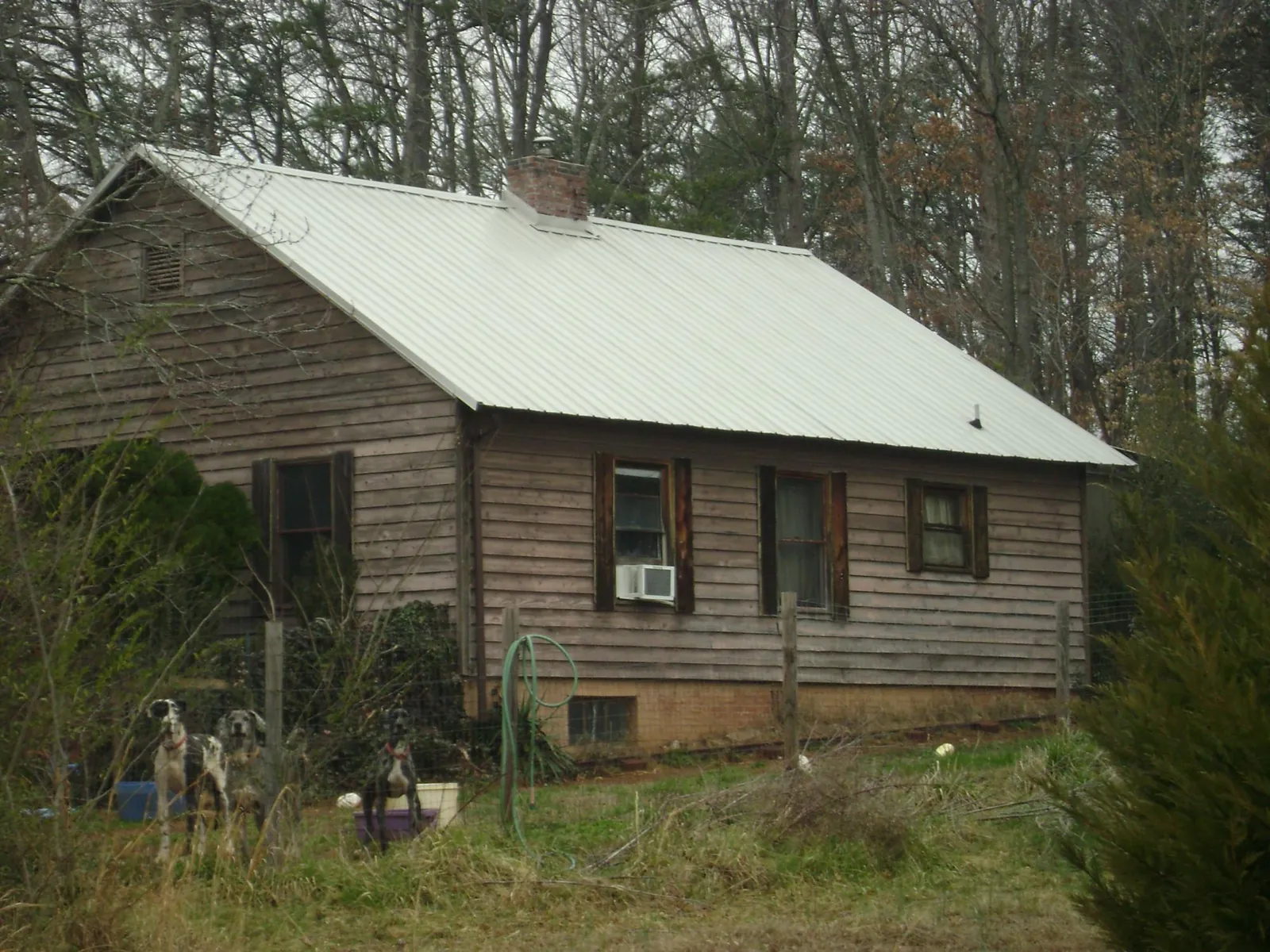 White metal roof on an old wood sided farmhouse, from a Asphalt Shingle Roof Repair job in Brightwood